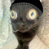 Avatar for Narguess