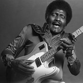 Albert Collins_7.jpg