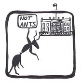 Not Ants