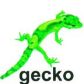Gecko_33 的头像