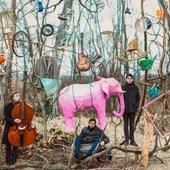 The Pink Elephant