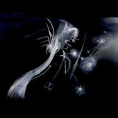 Fae Transit