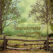 Unpredictable Journey