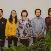 The Colors - spring, 2019