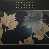 Shadows As Tall As Trees