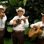 Los Camperos de Valles.jpg