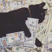 LastFM profile picture for @fuck