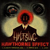 Hawthorne Effect