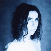 pj harvey.jpg