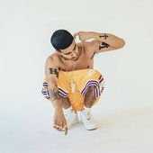 MoneySign Suede.jpg