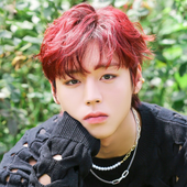 a porra do park jihoon.png