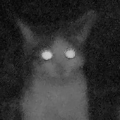 Avatar for CasualScreech