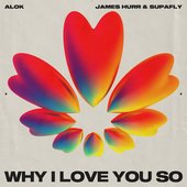 Why I Love You So - Single