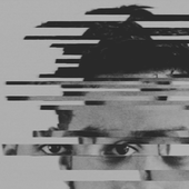 Raytek.png