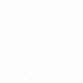 antonio_profile 的头像