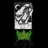 Swallow Earth