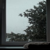 ab67616d0000b273644d1b438e2c524687ab53b4.jpg
