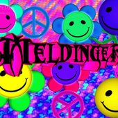 Meldinger
