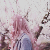 Vilinia 的头像