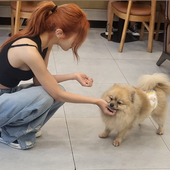 Zozoyka 的头像