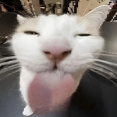 Avatar for themc68