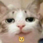 RAWRR_XD 的头像