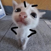 vitindede 的头像