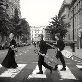 Zebra crossing