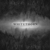 Whitethorn