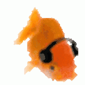 Avatar für keloooo