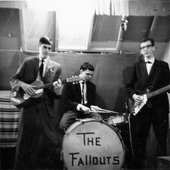 The Fallouts (NL)