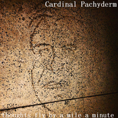 Cardinal Pachyderm THOUGHTS FLY BY album cover.png