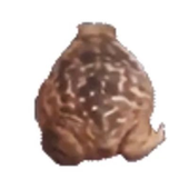 Avatar for samizephyr