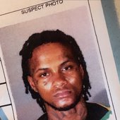 freegucci.jpg