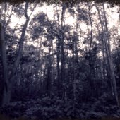 Hunted Artwork- Front Cover