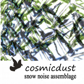 cosmicdust - snow noise assemblage (PNG)