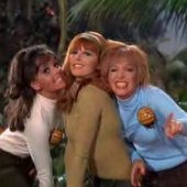 The TV Honeybees 1967
