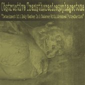 Detachment Of A Body Member In A Cadaver With Advanced Putrefaction