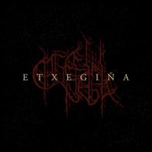 Etxegiña logo