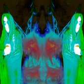 Atomized In The Black Solarian