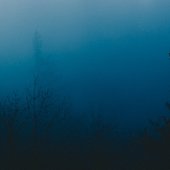 artist image from spotify