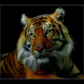LastFM profile picture for @marleide