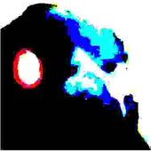 Avatar for CrowEffigy
