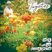 Slowly, and Yet So Surely After All [Explicit]