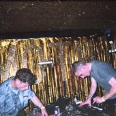 Schwefelgelb @ Moth Club 22-11-17