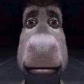 N3x0RRR 的头像