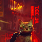 Iron_Cheng 的头像