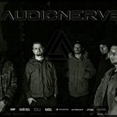 Audionerve