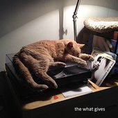 The What Gives