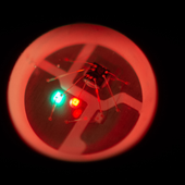 Kiddrone 的头像